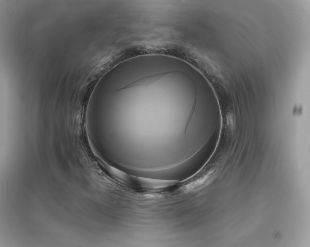 X0000095121300200712071231