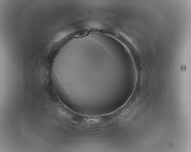 X0000095121303200712071231
