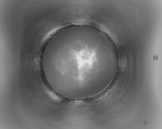 X0000095121304200712071231