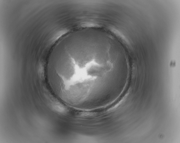 X0000095121305200712071231