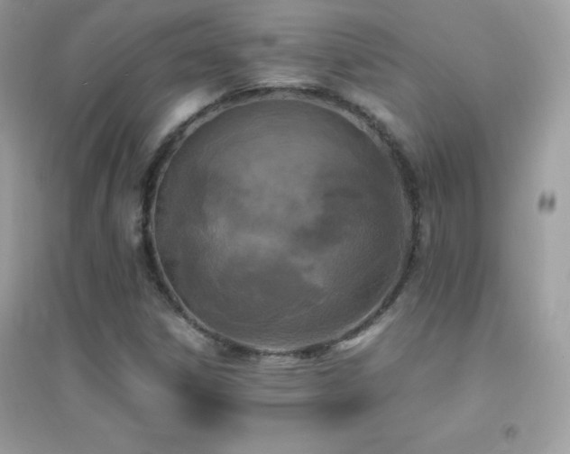X0000095121306200712071231