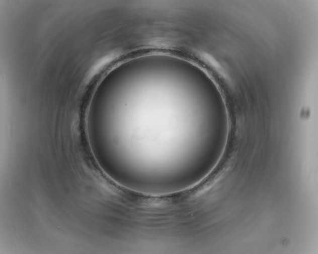 X0000095121307200712071231