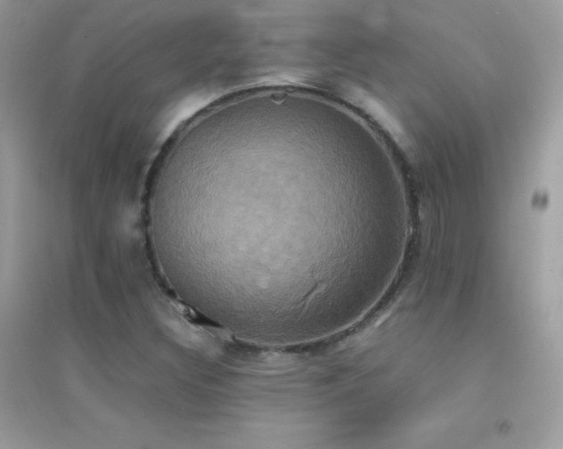 X0000095121308200712071231