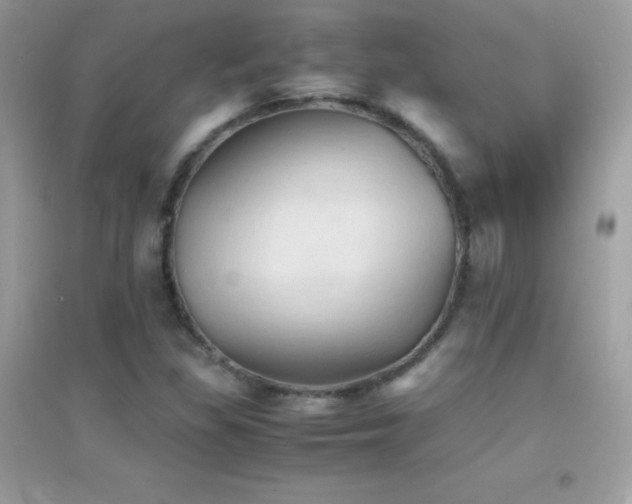 X0000095121309200712071231