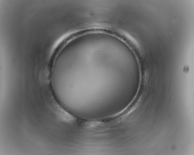 X0000095121310200712071231