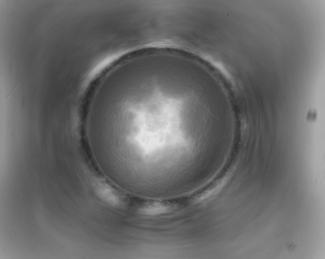 X0000095121311200712071231