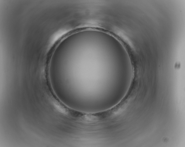 X0000095121312200712071231