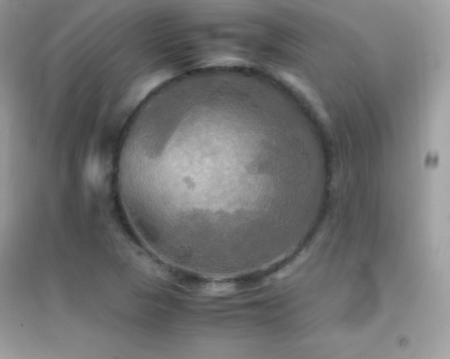 X0000095121313200712071231