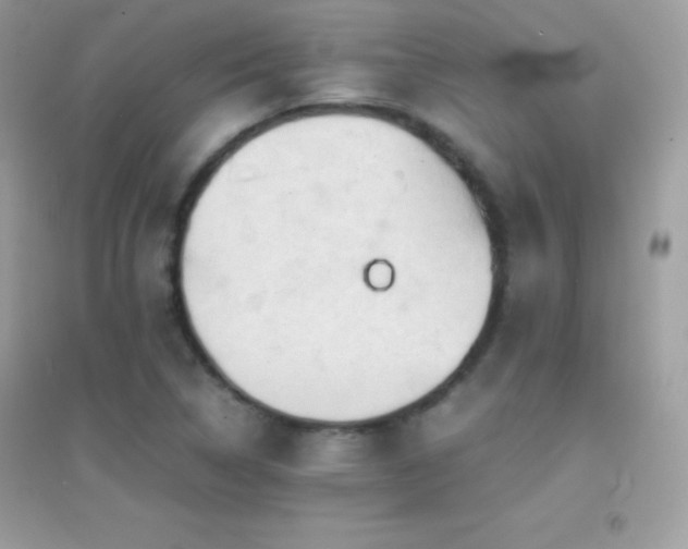 X0000095121314200712071231