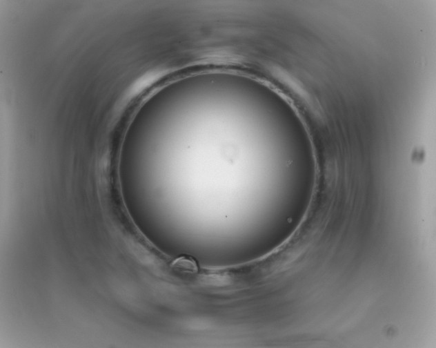 X0000095121315200712071231