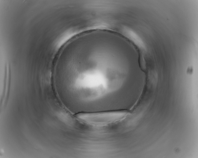 X0000095121316200712071231