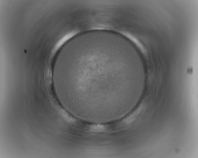 X0000095121317200712071231