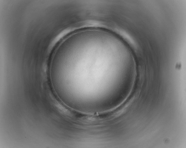 X0000095121318200712071231