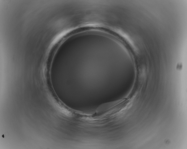 X0000095121319200712071231