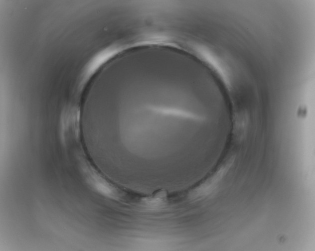 X0000095121320200712071231