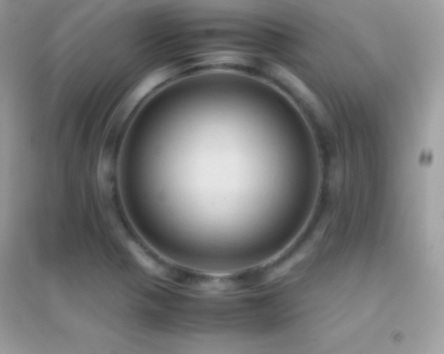 X0000095121321200712071231