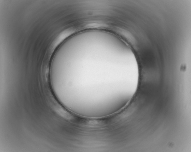 X0000095121322200712071231