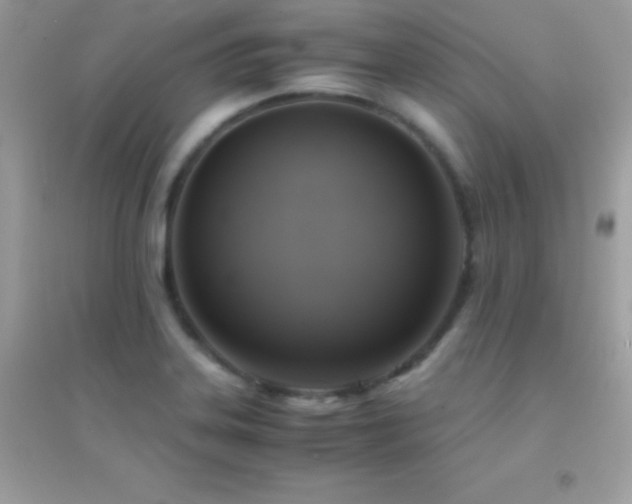 X0000095121323200712071231