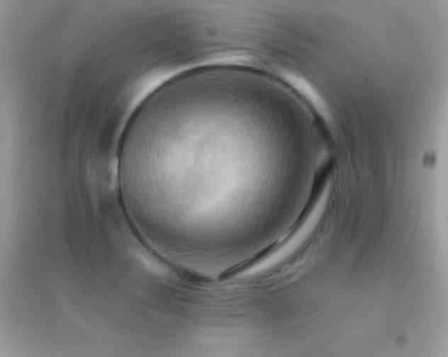 X0000095121324200712071231