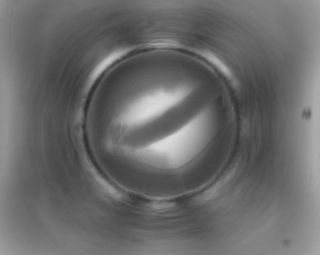 X0000095121325200712071231