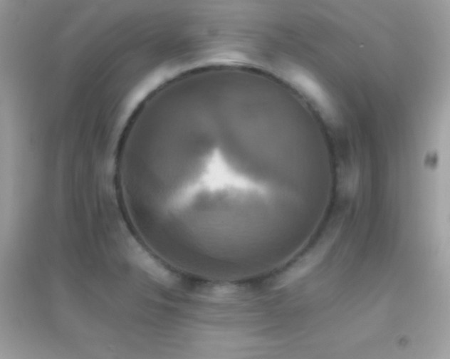 X0000095121326200712071231