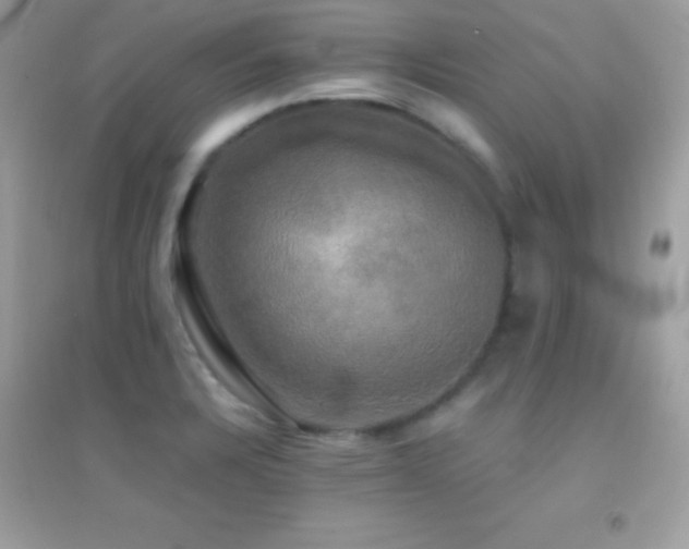 X0000095121328200712071231
