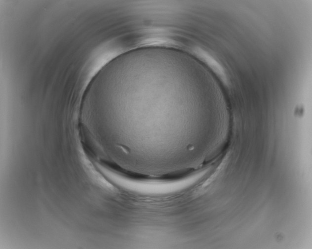 X0000095121330200712071231