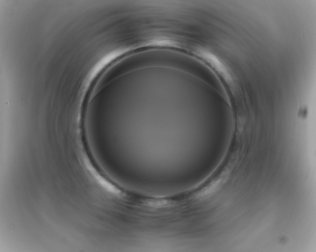 X0000095121331200712071231