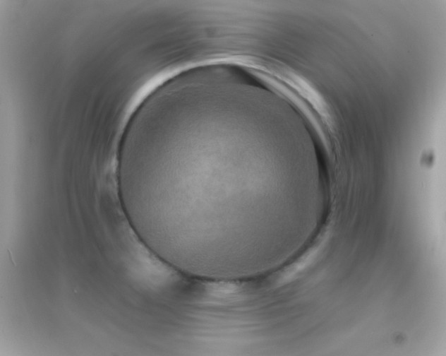 X0000095121332200712071231