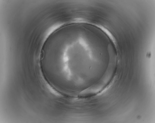 X0000095121333200712071231