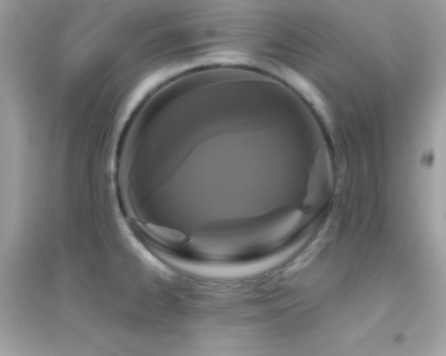 X0000095121334200712071231