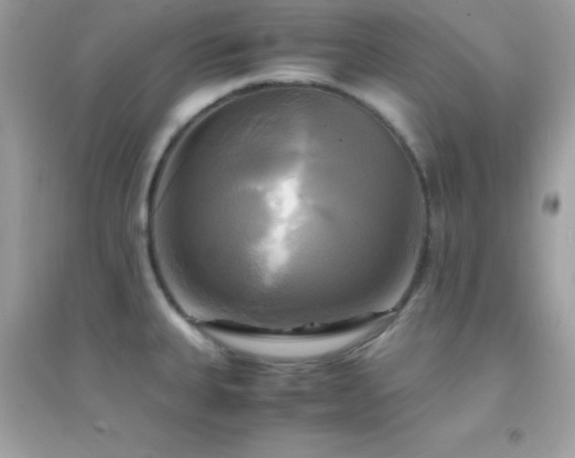 X0000095121335200712071231
