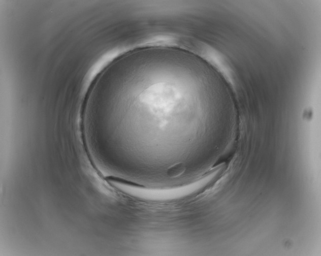 X0000095121336200712071231
