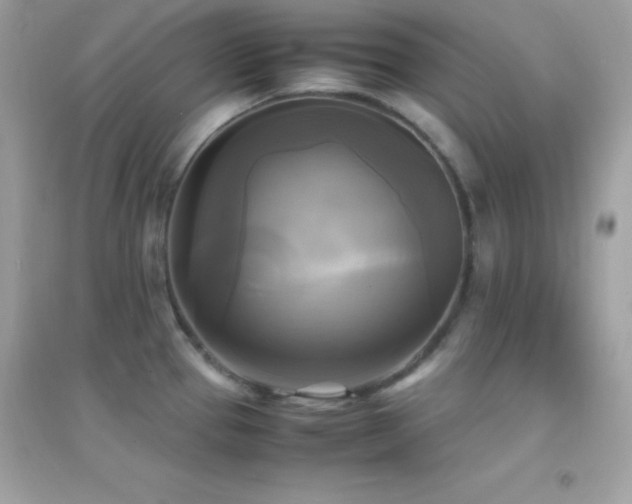 X0000095121337200712071231
