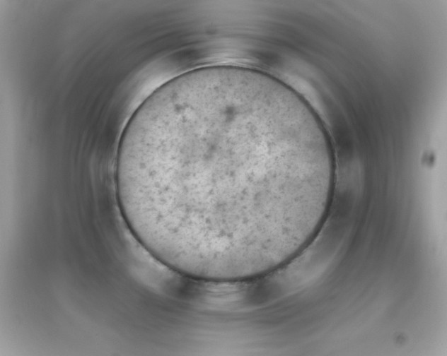 X0000095121338200712071231