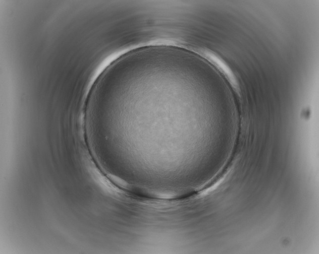X0000095121340200712071231