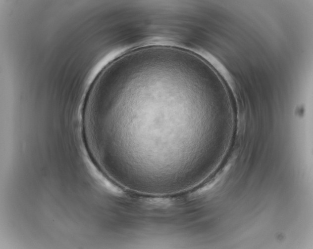 X0000095121341200712071231