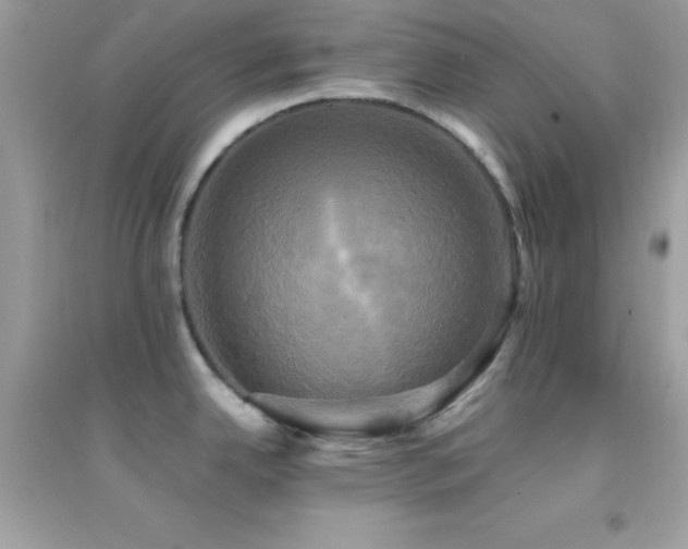 X0000095121342200712071231