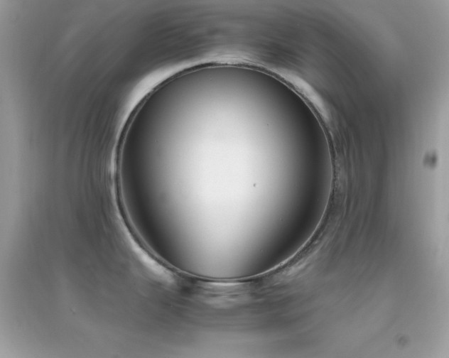 X0000095121343200712071231
