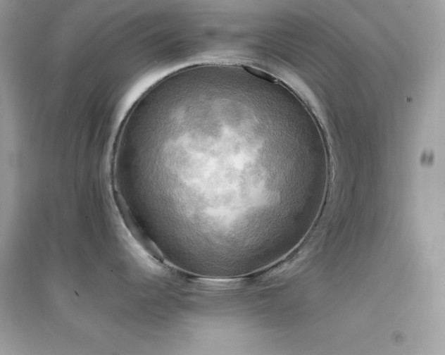 X0000095121344200712071231