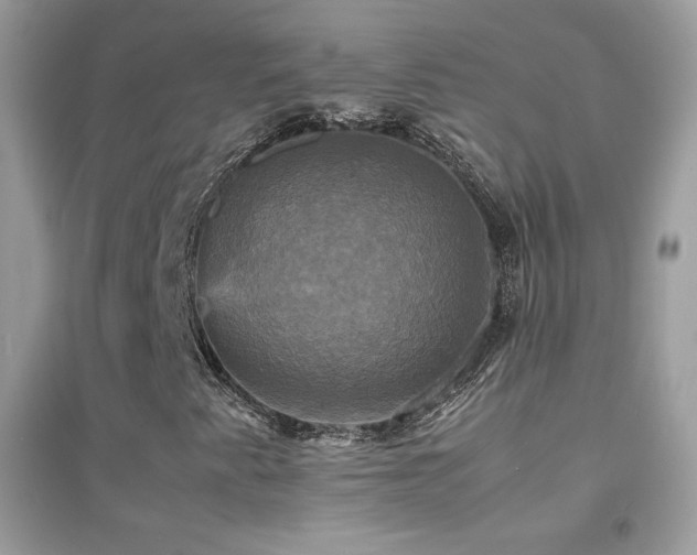 X0000095121345200712071231