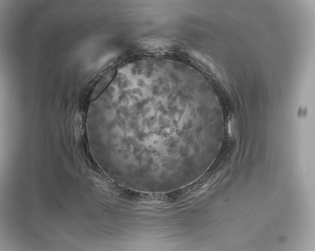 X0000095121347200712071231