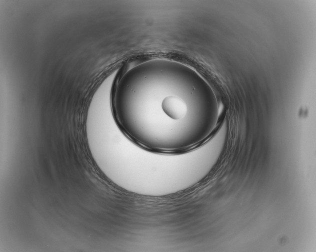 X0000095121348200712071231