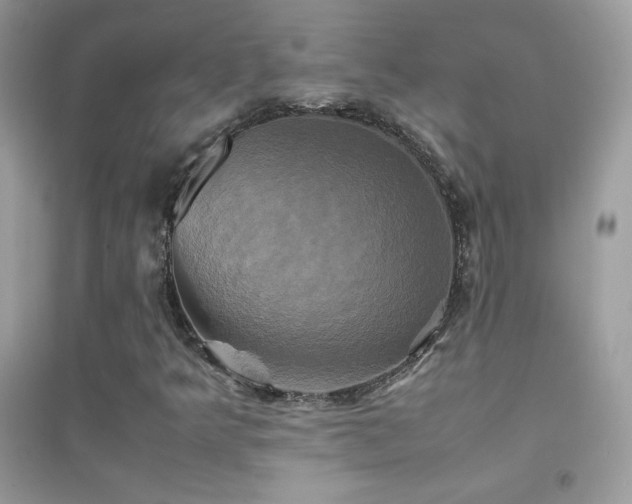 X0000095121349200712071231