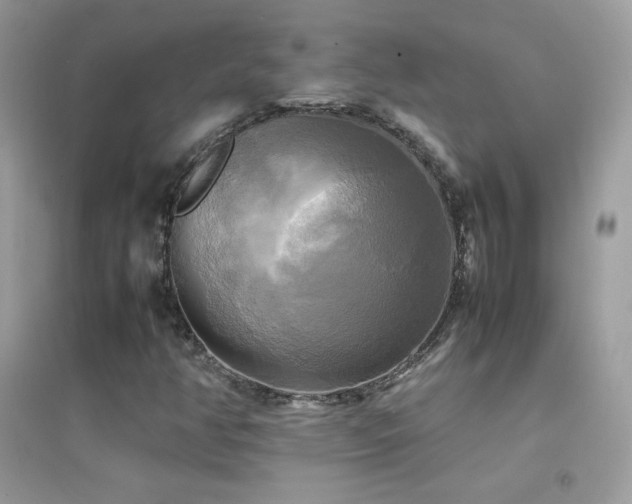 X0000095121350200712071231