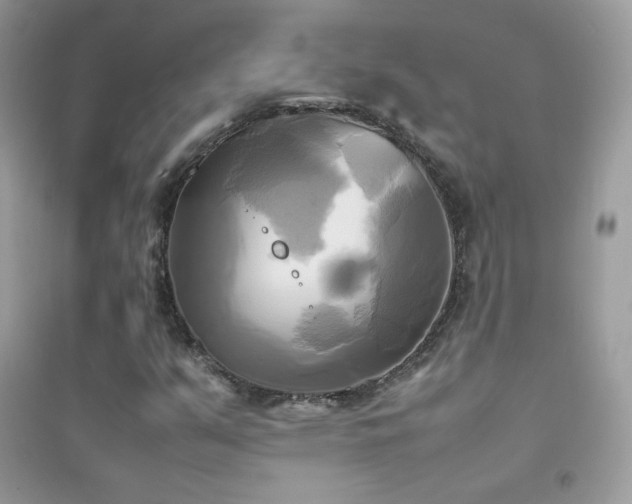 X0000095121351200712071231