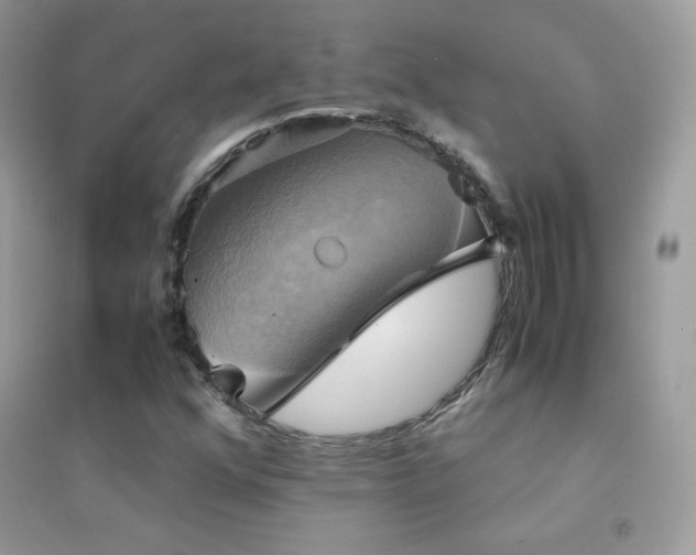 X0000095121352200712071231