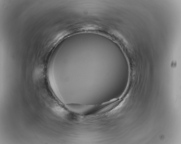X0000095121353200712071231