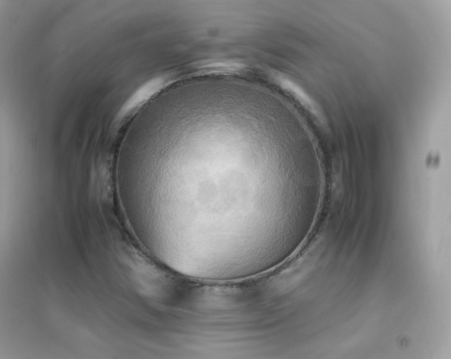 X0000095121354200712071231