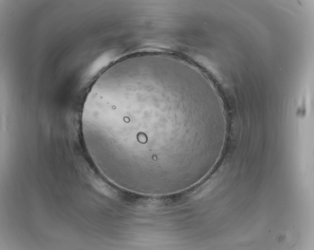 X0000095121355200712071231